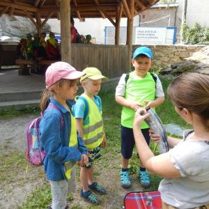 dscn1467.jpg